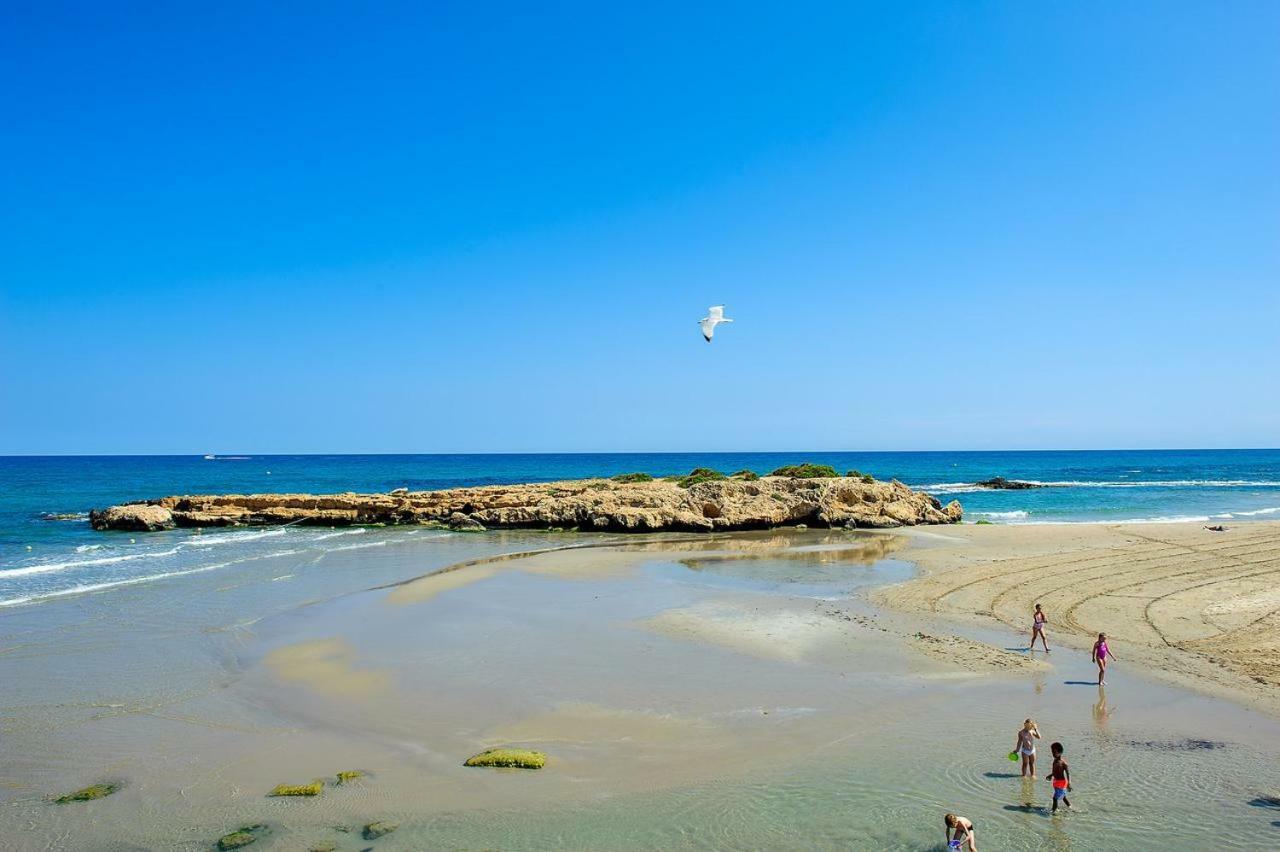 El Bosque Daire Playa Flamenca Dış mekan fotoğraf